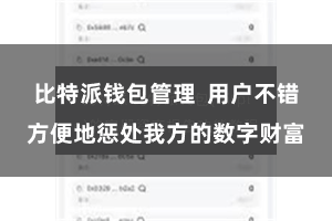 比特派钱包管理  用户不错方便地惩处我方的数字财富